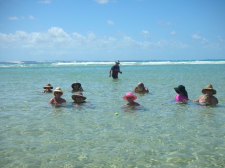 Swim at Waddy Point